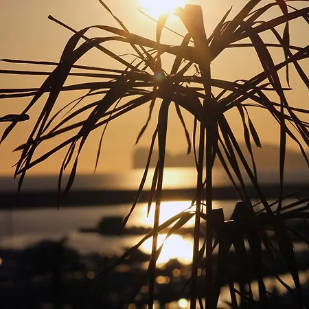 Sunset House Alghero
